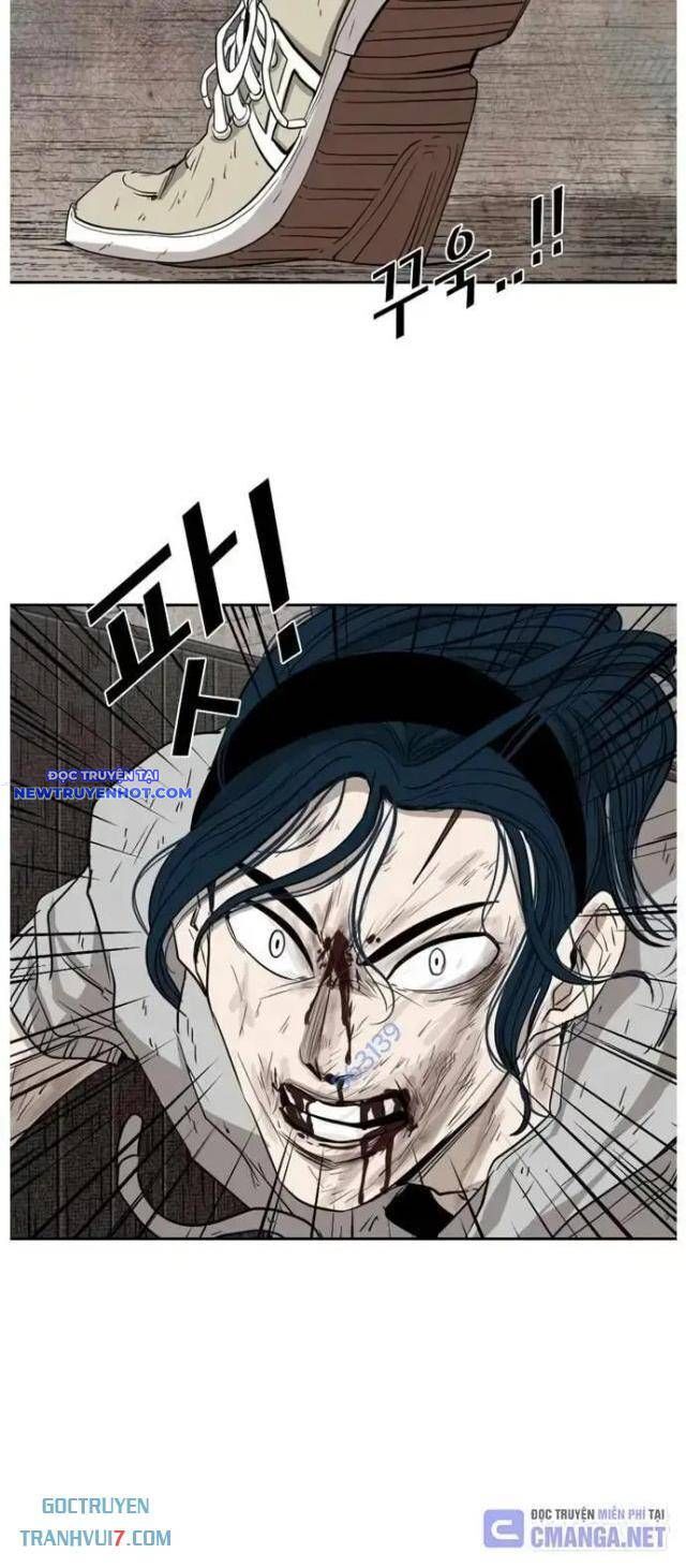 shark - cá mập chapter 116 27