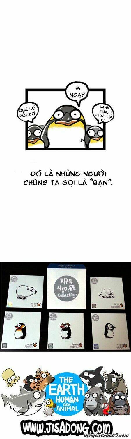 earth, human, and animal chapter 7 16