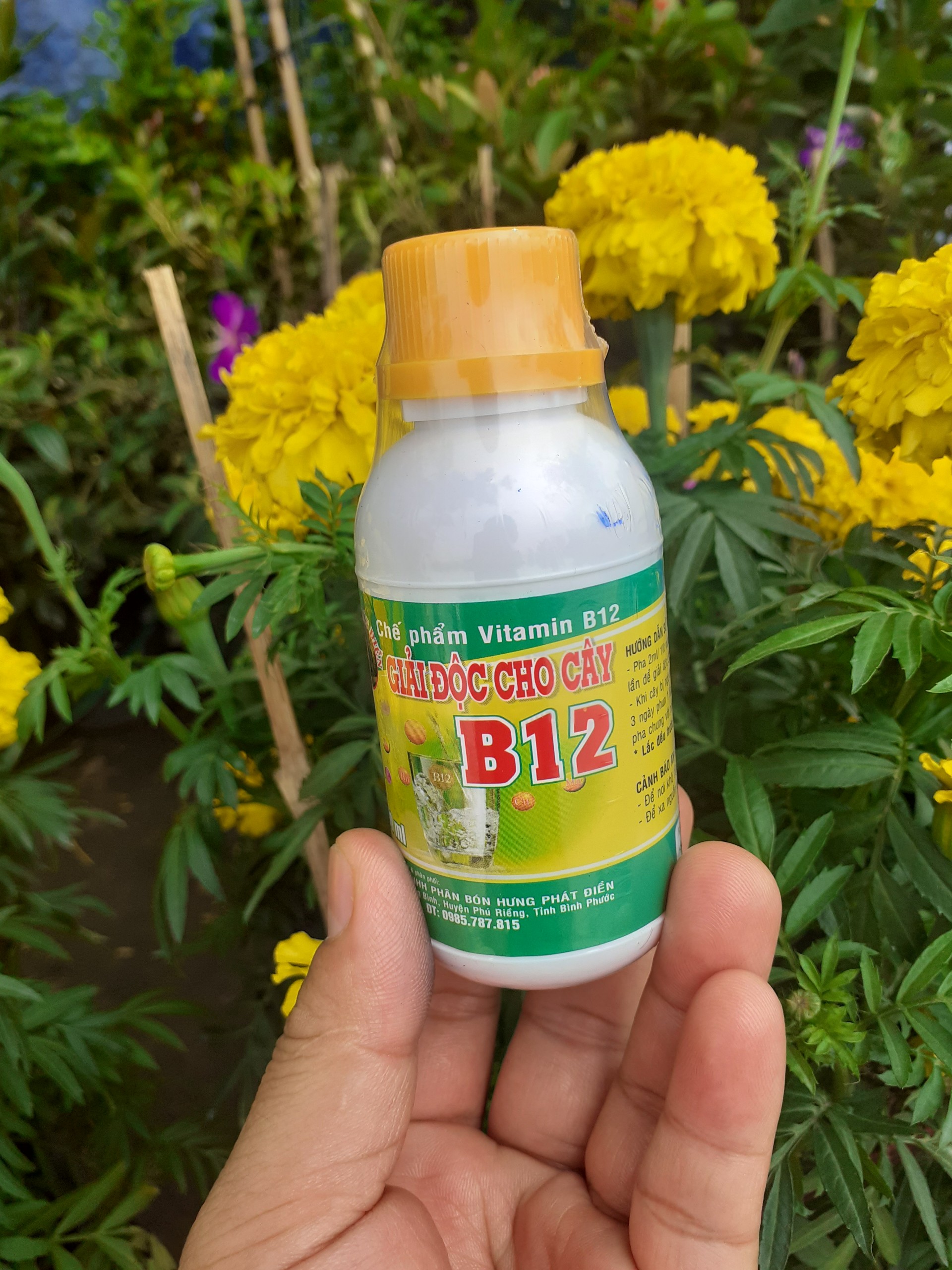 Vitamin B12 giải độc cho cây trồng
