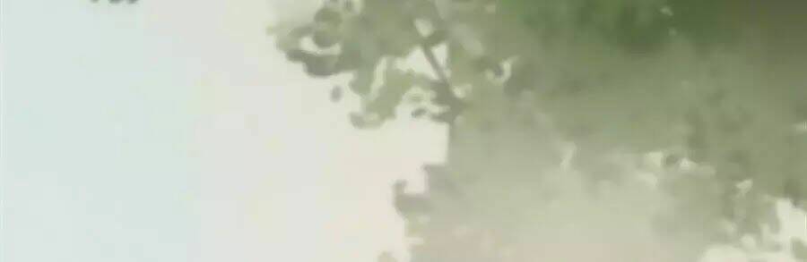 phượng hoàn triều: vương gia yêu nghiệt xin tránh đường chapter 25 63