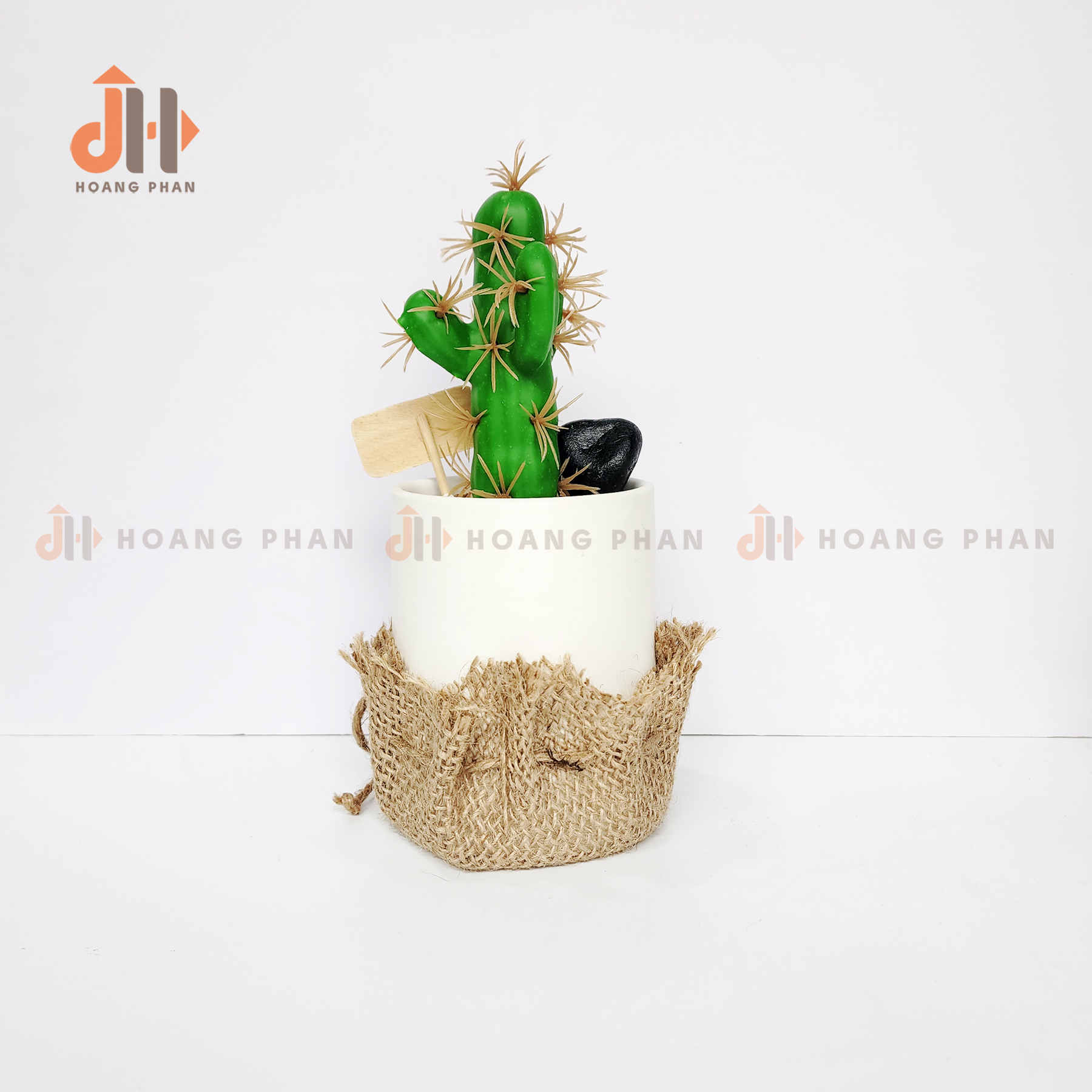 Trụ xương rồng ống vĩnh cửu trang trí
