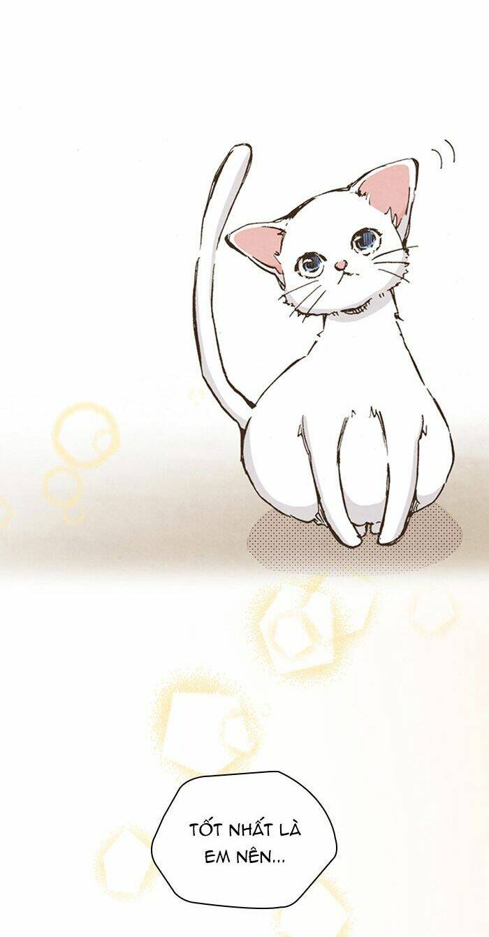 marry me! chapter 36 34