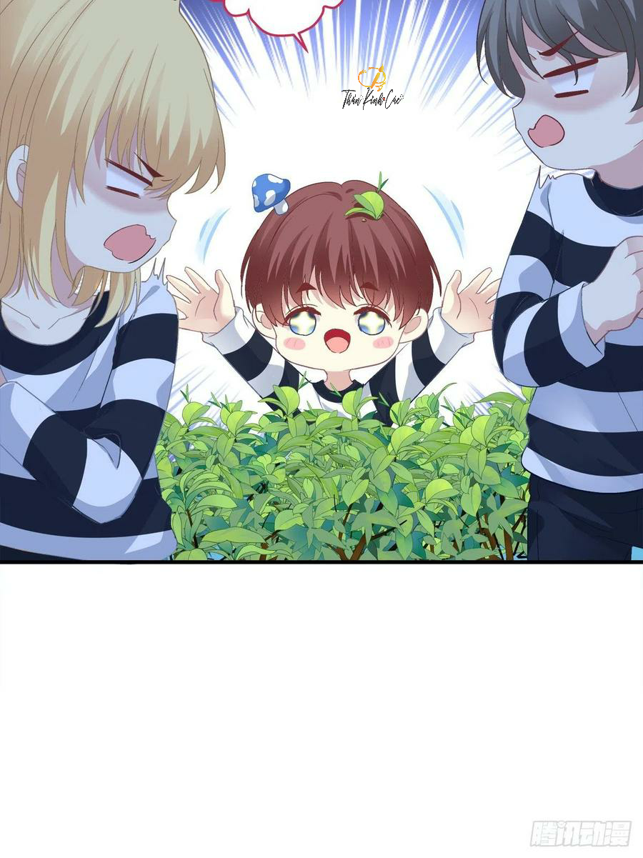 kiểm soát tuyệt đối chapter 80 6