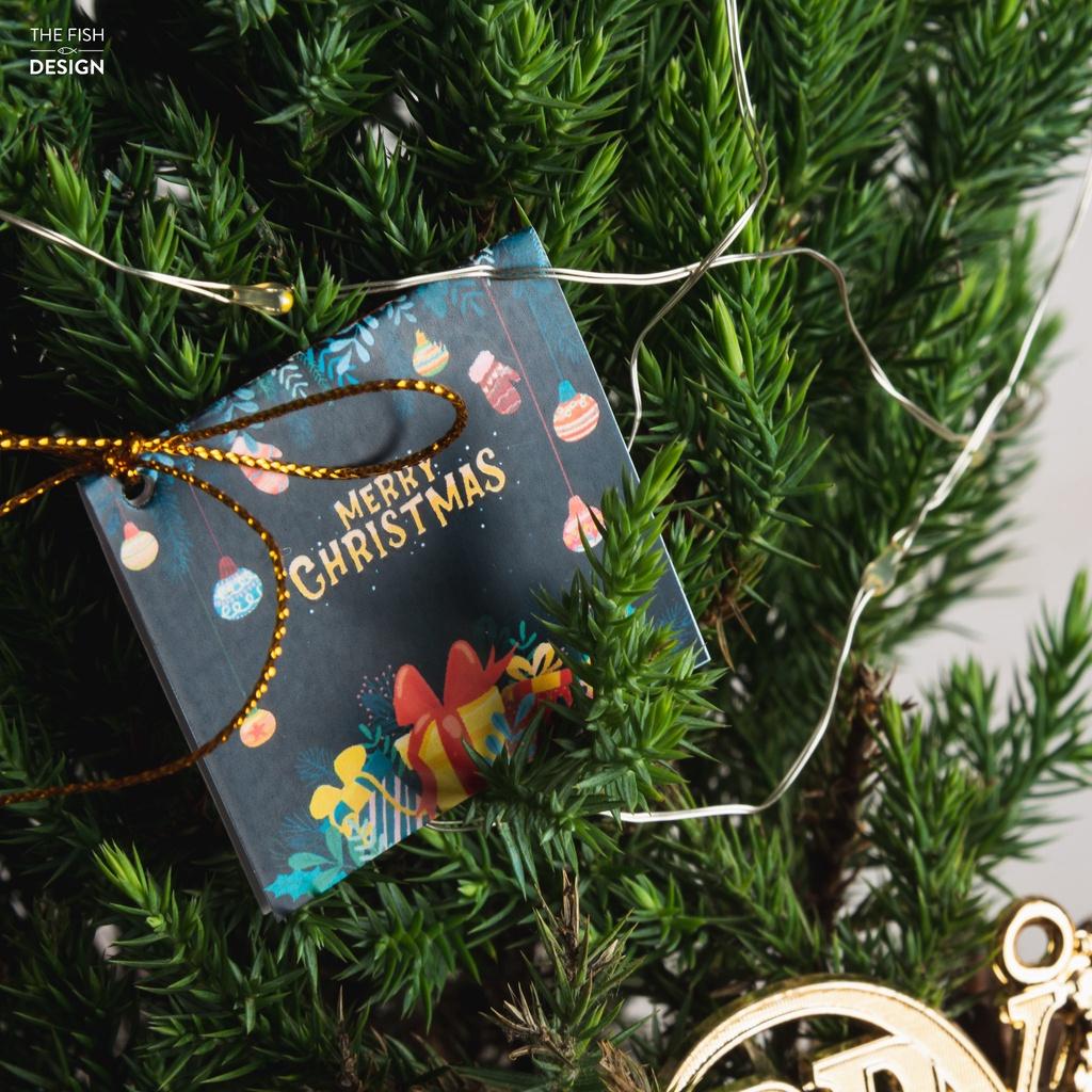 Cây tùng thông NOEL | THE FISH DESIGN SIZE LS