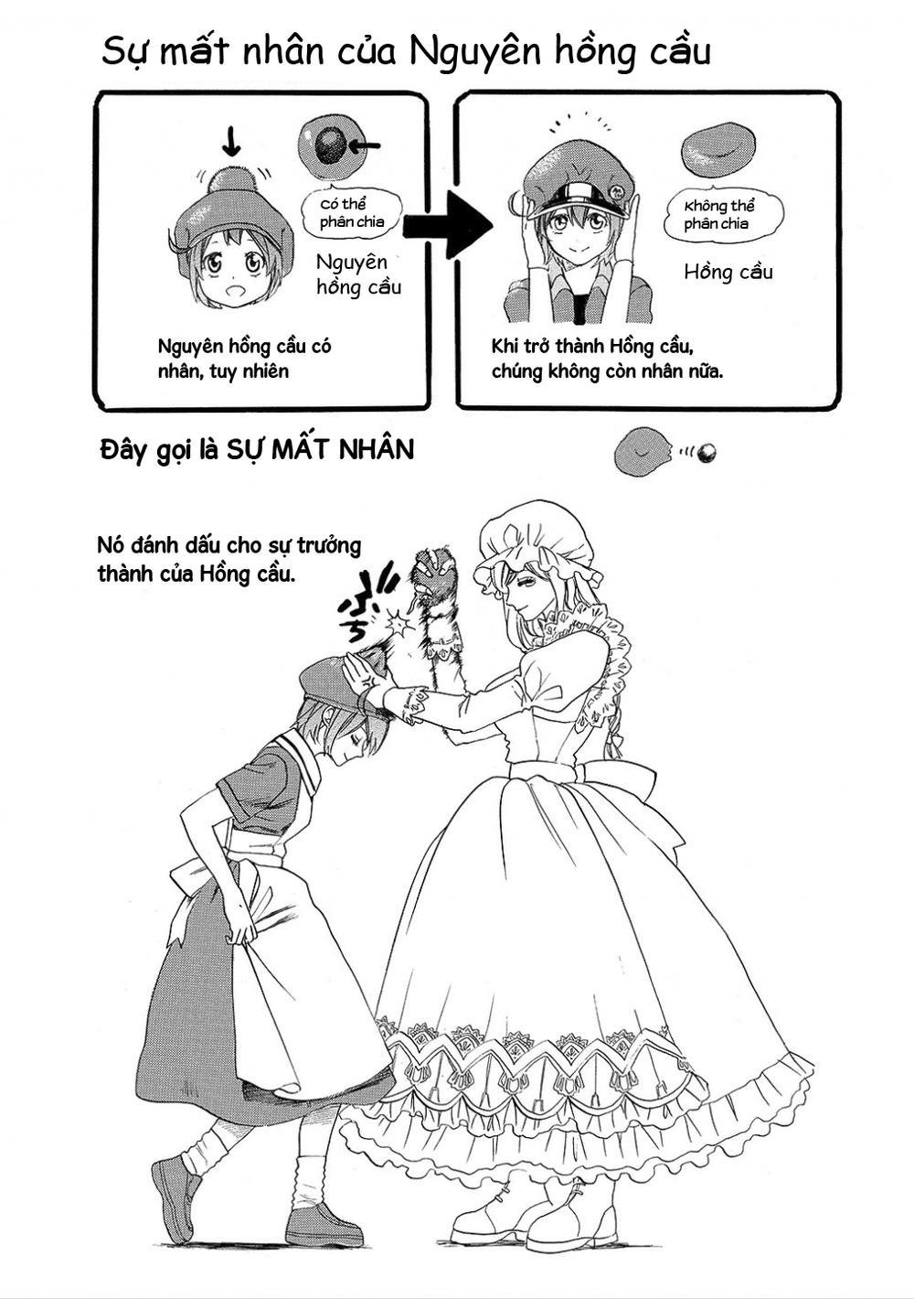 hataraku saibou! chapter 7 31