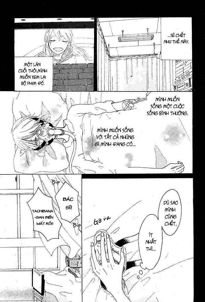 tổng hợp one shot. chapter 260 28