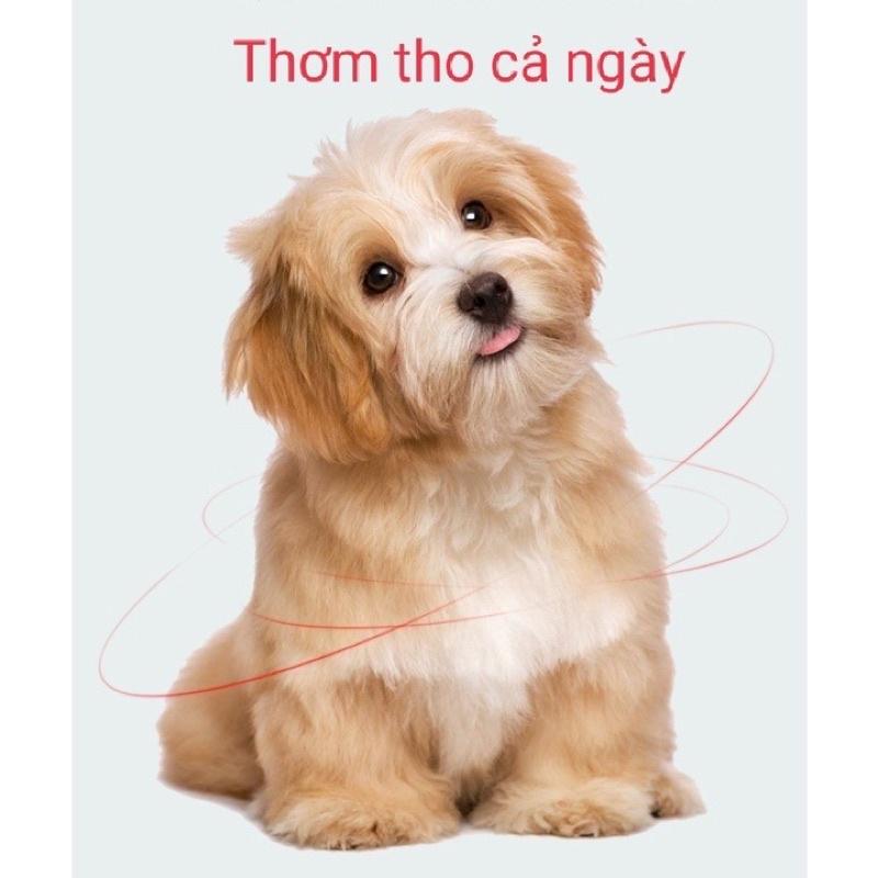 Sữa tắm khô dưỡng lông- Bọt tắm khô- sữa tắm dạng bọt cho chó mèo tạo bọt DorriKey 200ml