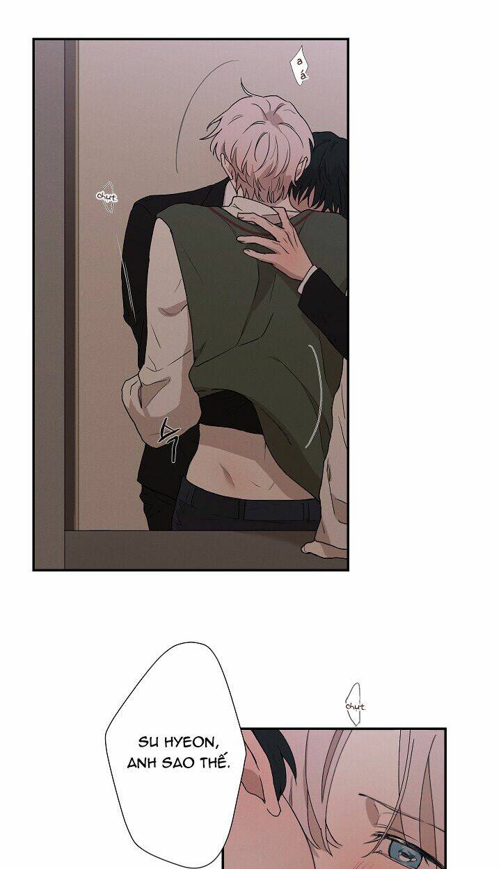 trốn tìm chapter 24 29