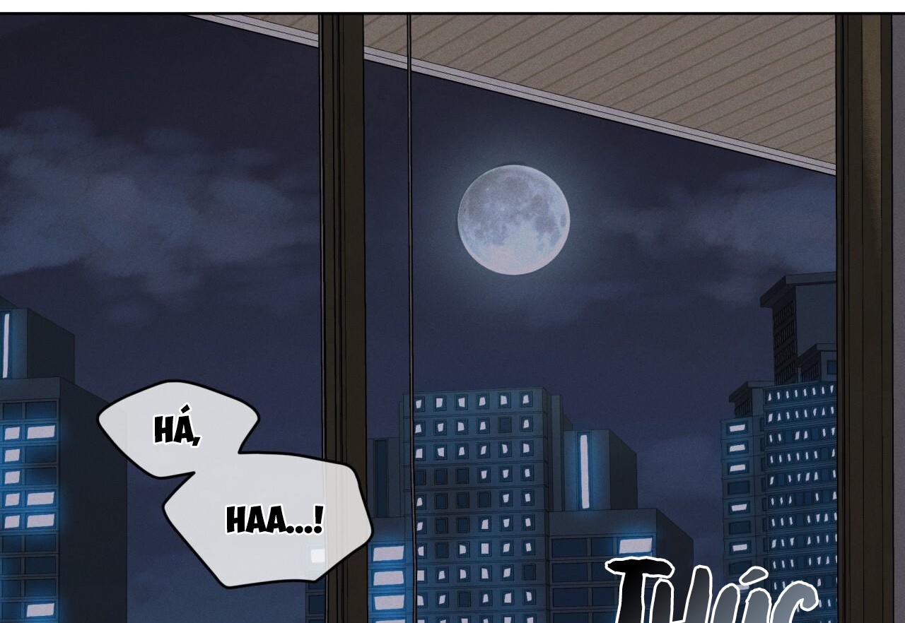 luân đôn trong màn đêm chapter 25 24