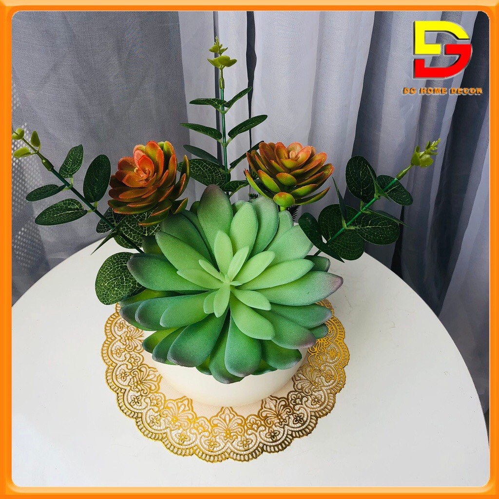 Chậu Cây Để Bàn Chậu Sen Đá Nhân Tạo Cao 20-25cm Decor Nhà Cửa Văn Phòng DG-109