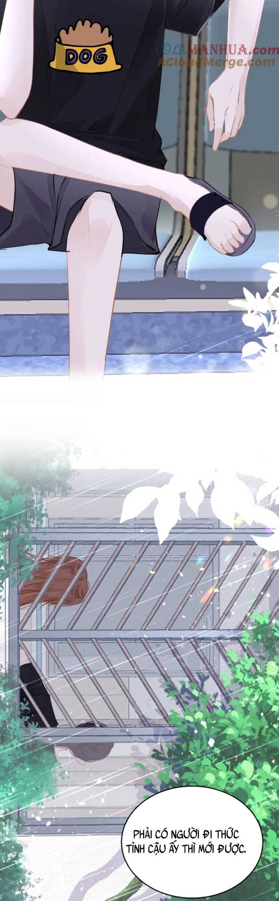 bắt đầu hủy hôn để công lược vương gia chapter 91 14