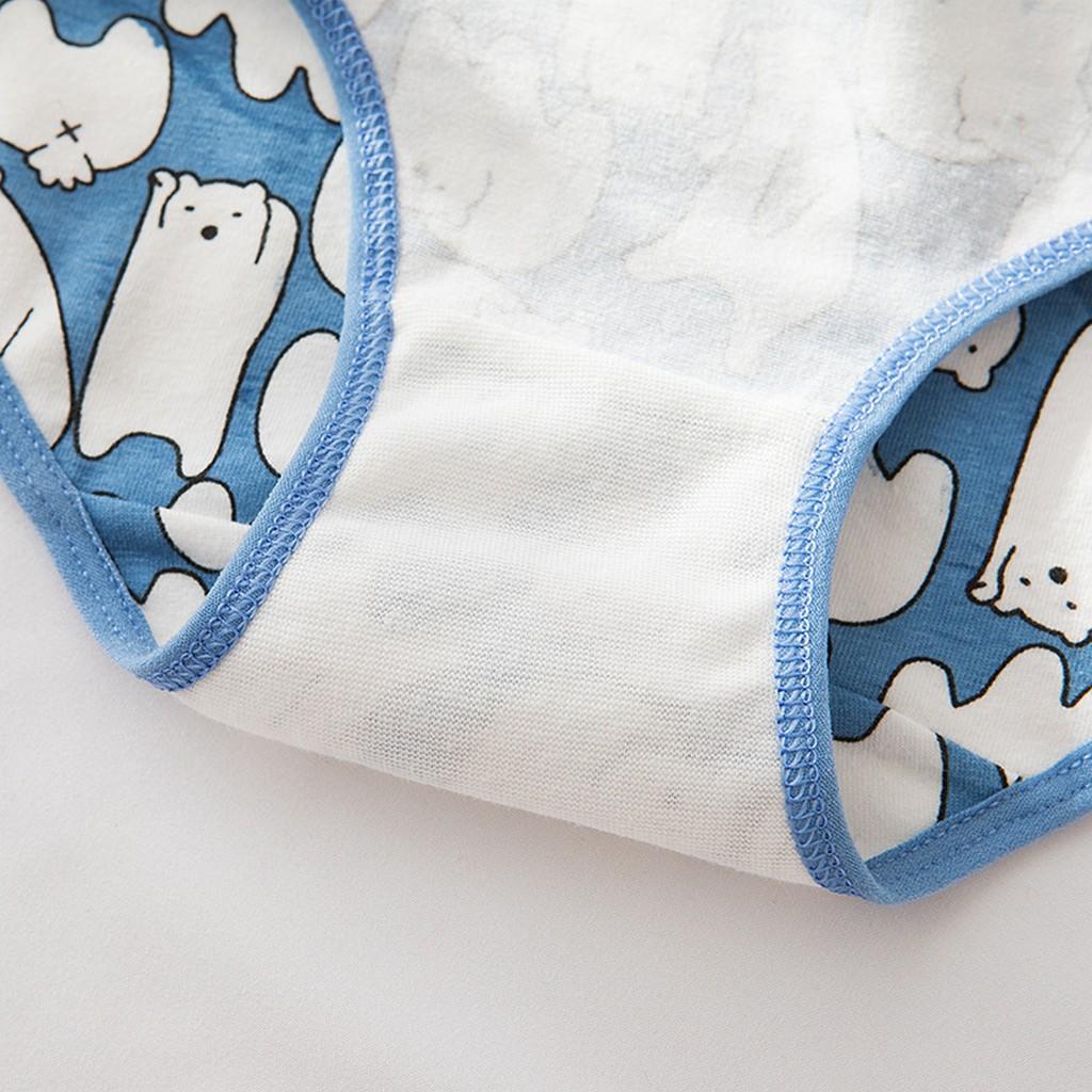 Combo 5 quần lót nữ Cotton họa tiết gấu xanh đáng yêu