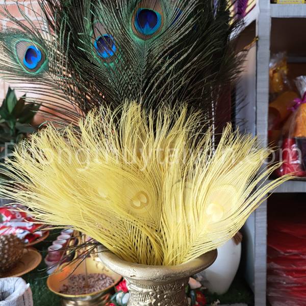 Lông Công Màu TRẮNG,VÀNG, XANH trang trí 25cm-30cm-lông Khổng tước chiêu tài,trang trí
