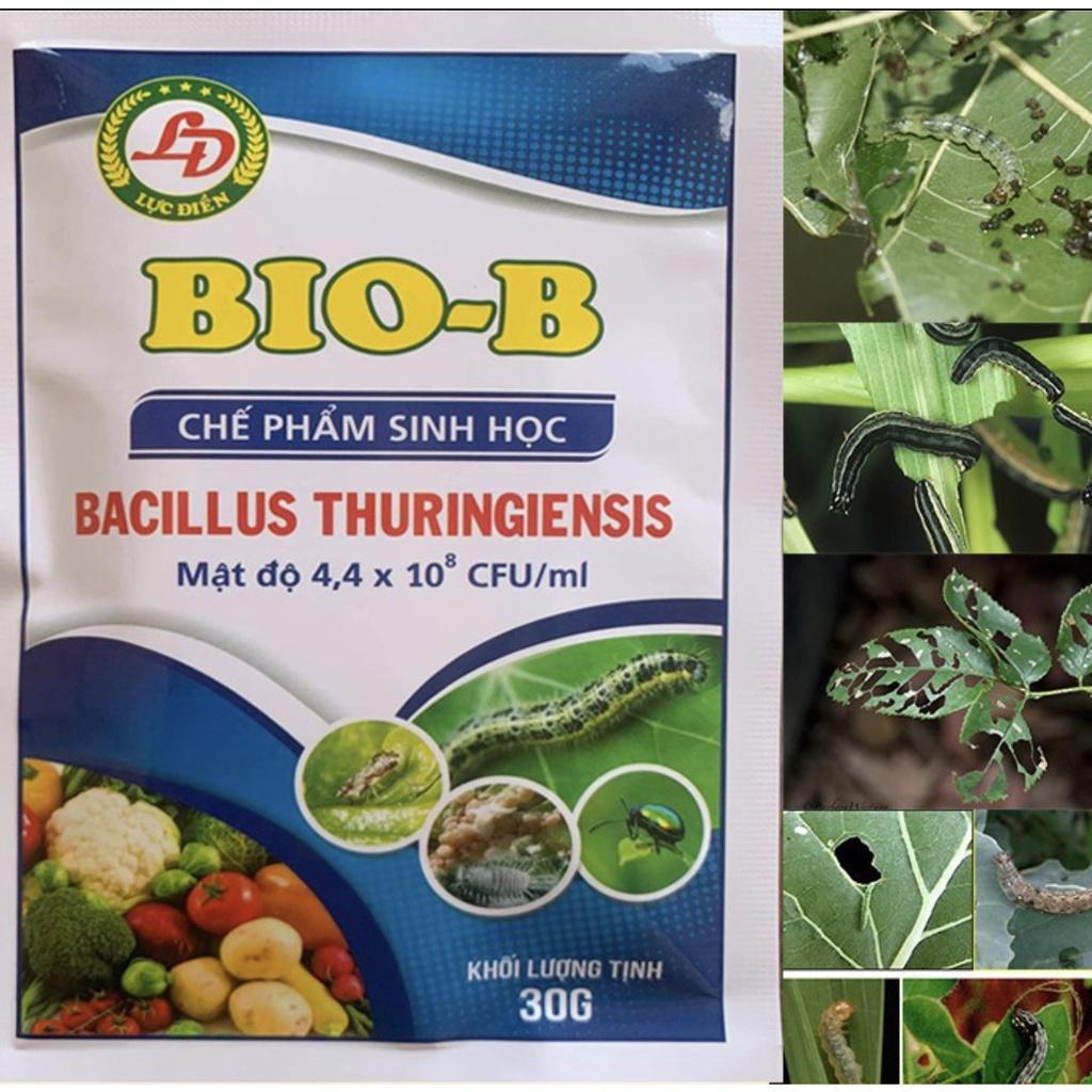 Chế Phẩm Sinh Học Công Nghệ Cao BIO-B Hoạt Lực Mạnh, Diệt trừ sâu bọ, Nhện Đỏ, Sâu Rầy, Bọ Trĩ