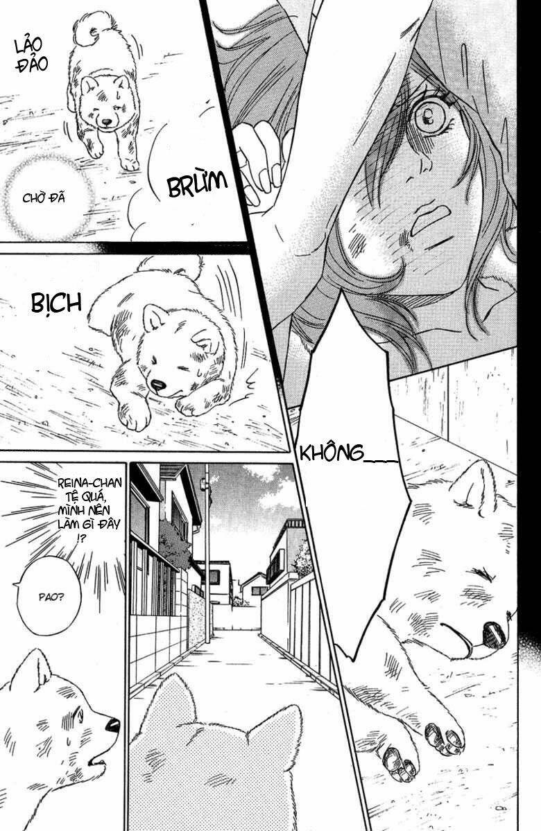 deep love - pao no monogatari chapter 8 6