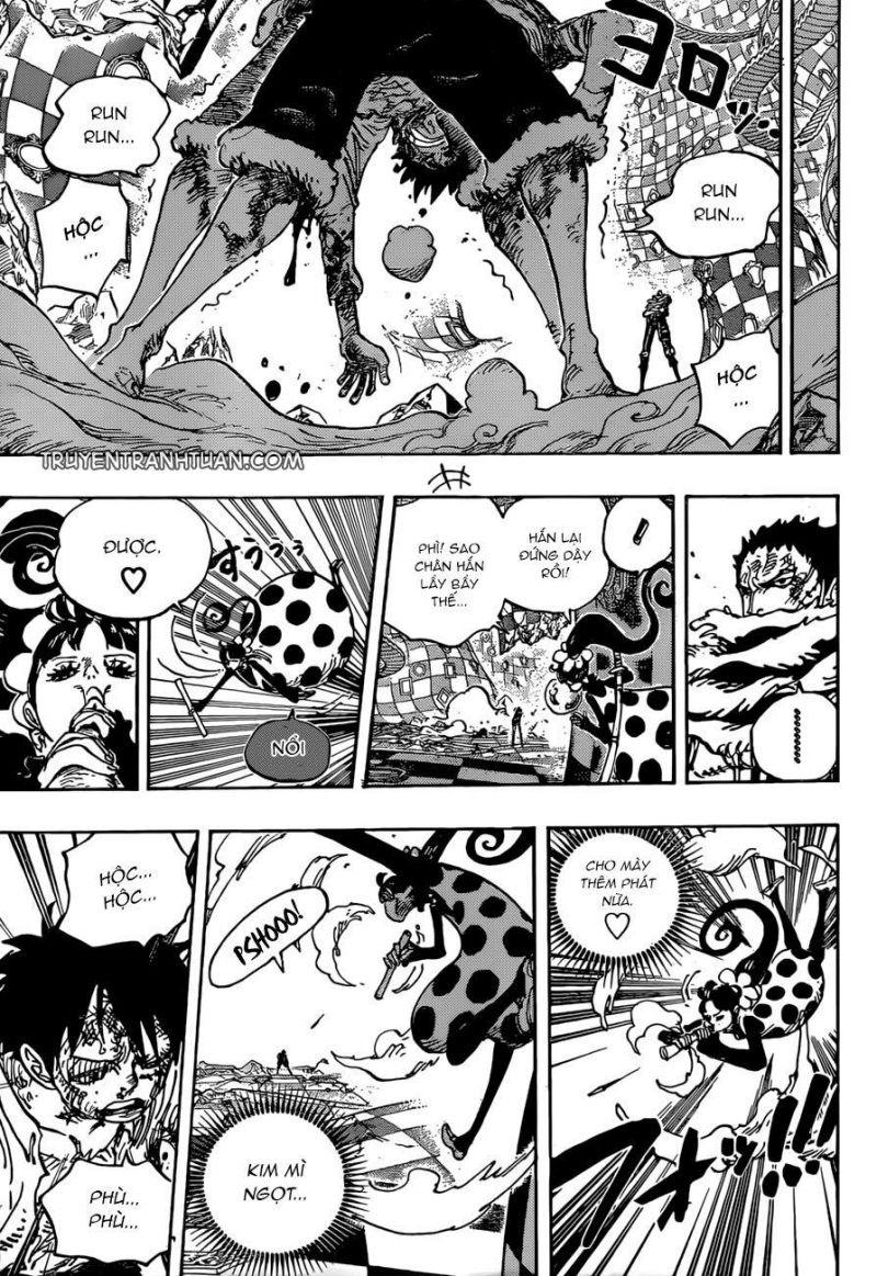 đảo hải tặc - one piece chapter 893 7