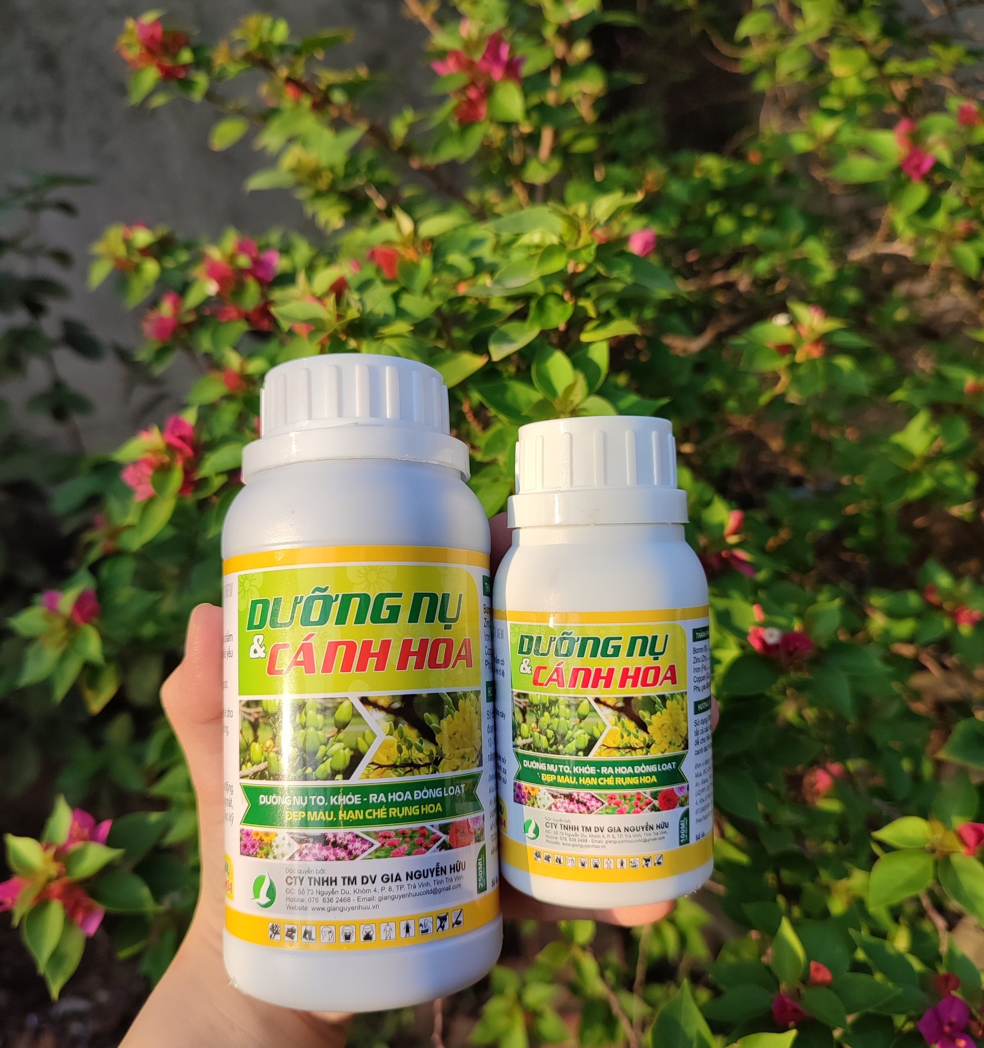 PHÂN BÓN GIÚP DƯỠNG NỤ HOA TO, KHOẺ; HOA LÂU TÀN, CHỐNG RỤNG CÁNH - CHAI 100ML và CHAI 250ML
