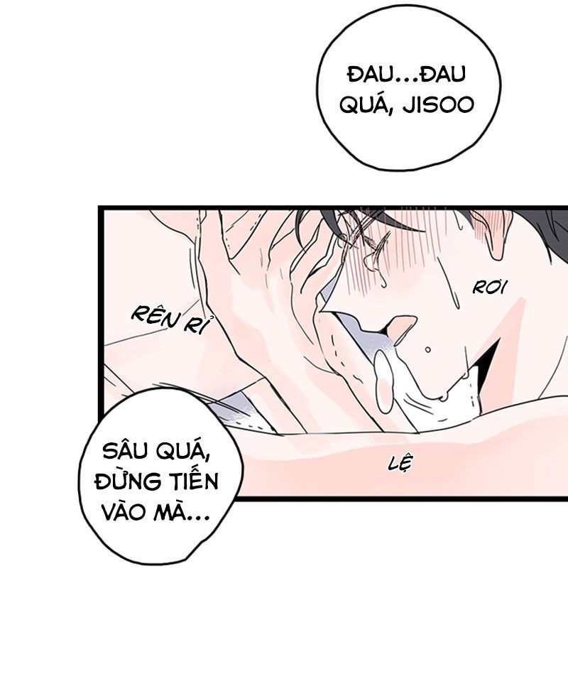 tình cờ yêu (full) chapter 1 6
