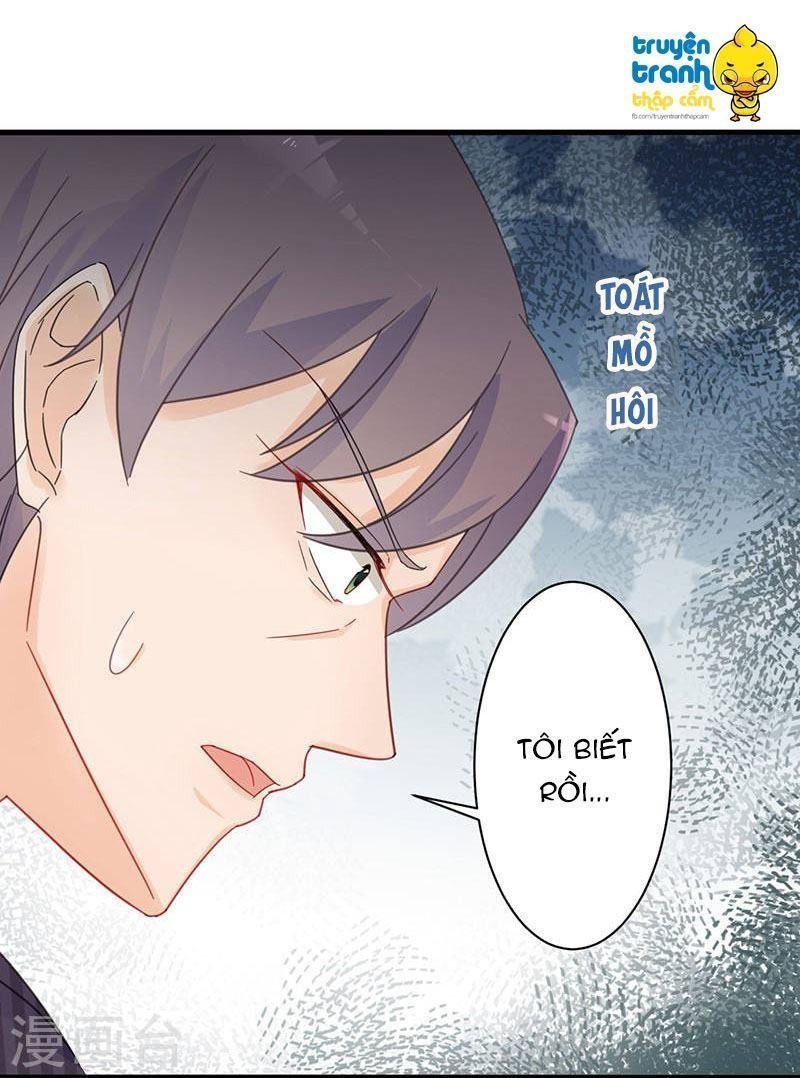 nhạ thượng thủ tịch tổng tài chapter 201 6