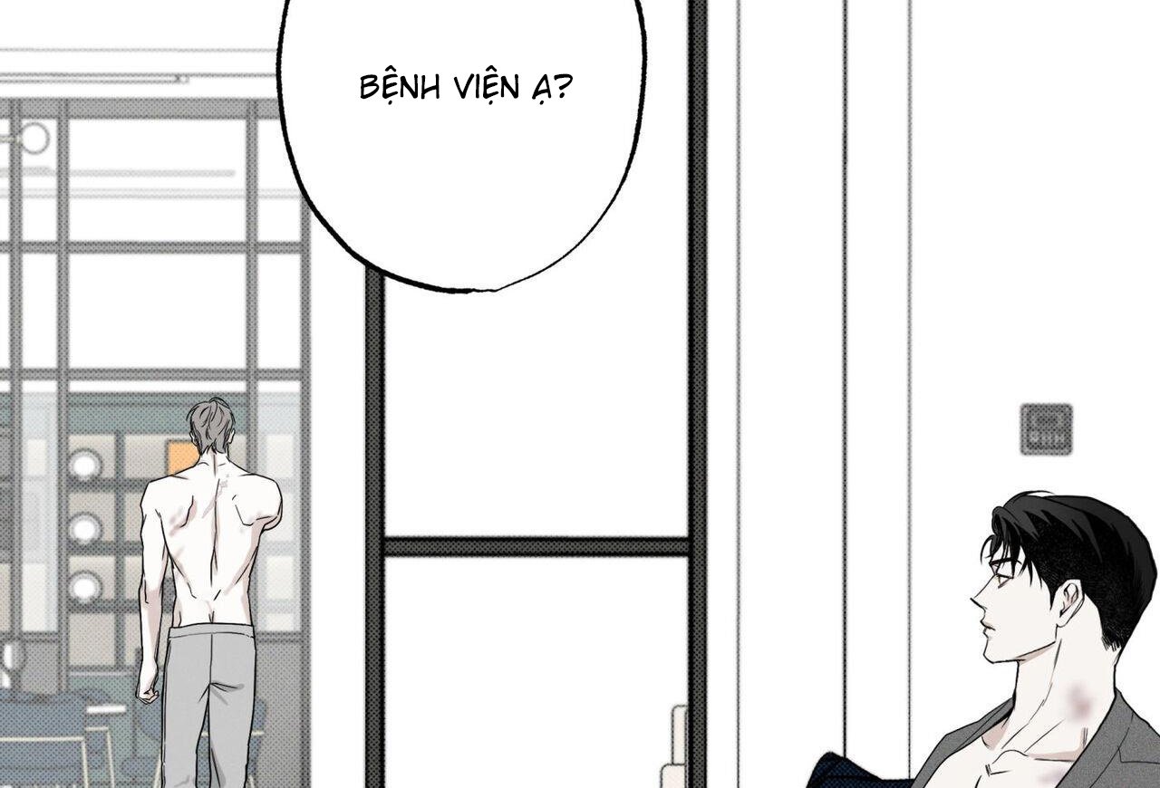 chàng giao pizza và gold palace chapter 48 158