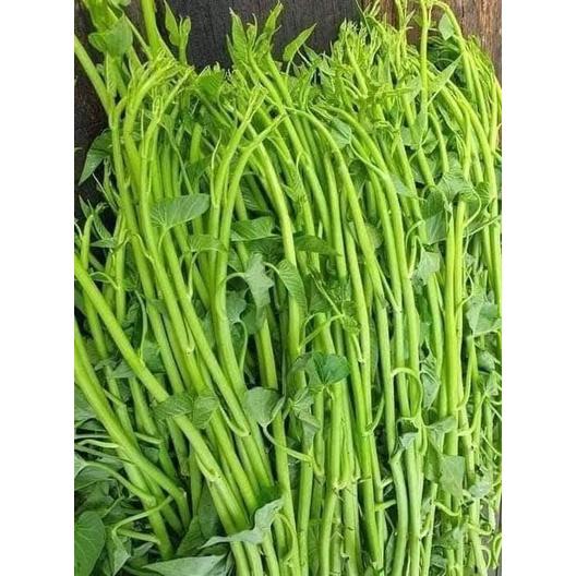 Hạt giống rau muống siêu ngọn - gói 10gram