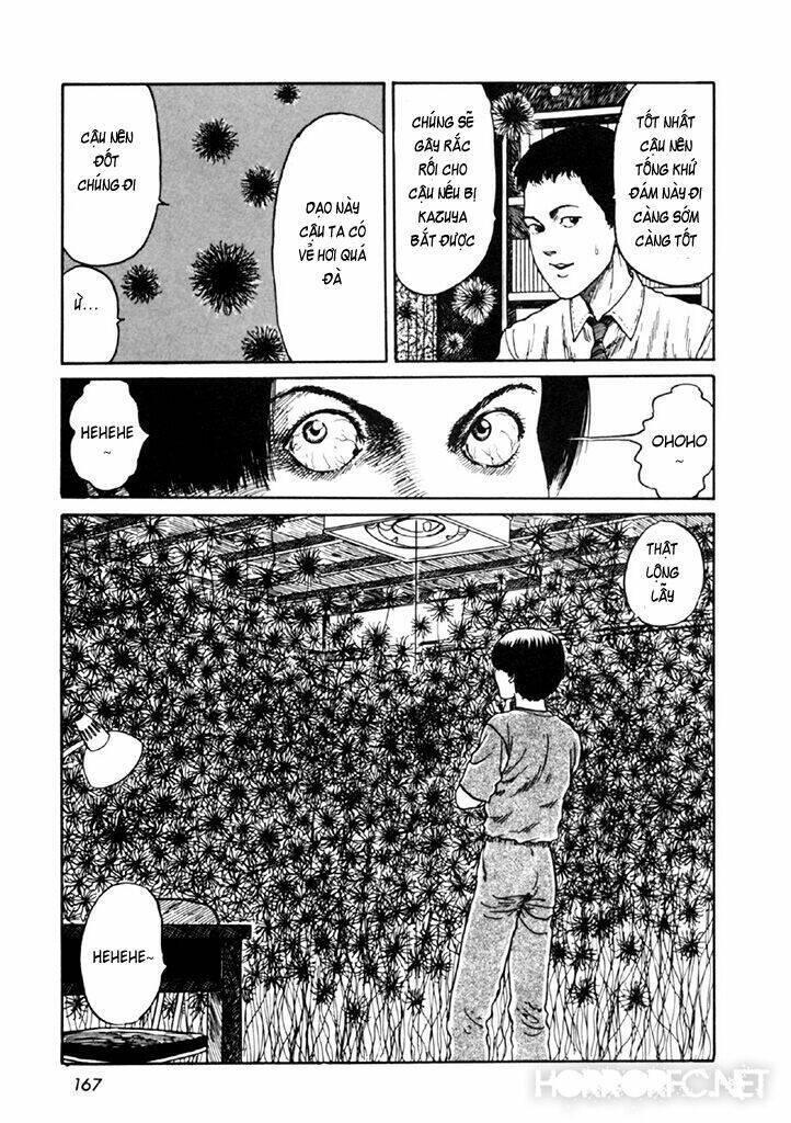 tuyển tập truyện ngắn kinh dị của ito junji chapter 14.4 33