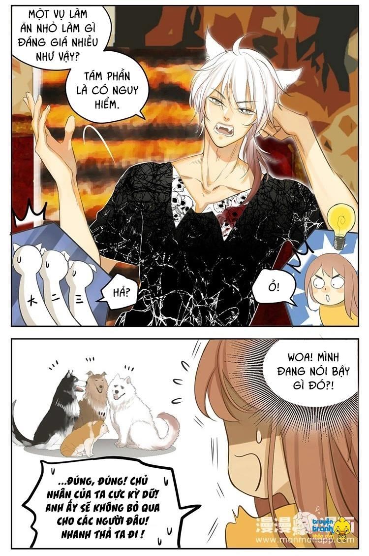 cứu mạng ! loài mèo thống trị thế giới rồi ! chapter 19 7