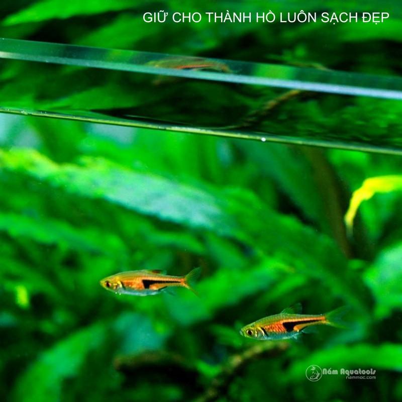 Dung Dịch Làm Sạch Vết Ố, Vết Kết Tủa Bám Thành Kính | Chất Tẩy Cặn Bể Cá | Làm Sạch Cặn Bẩn Bám Kính Bể Cá Cảnh