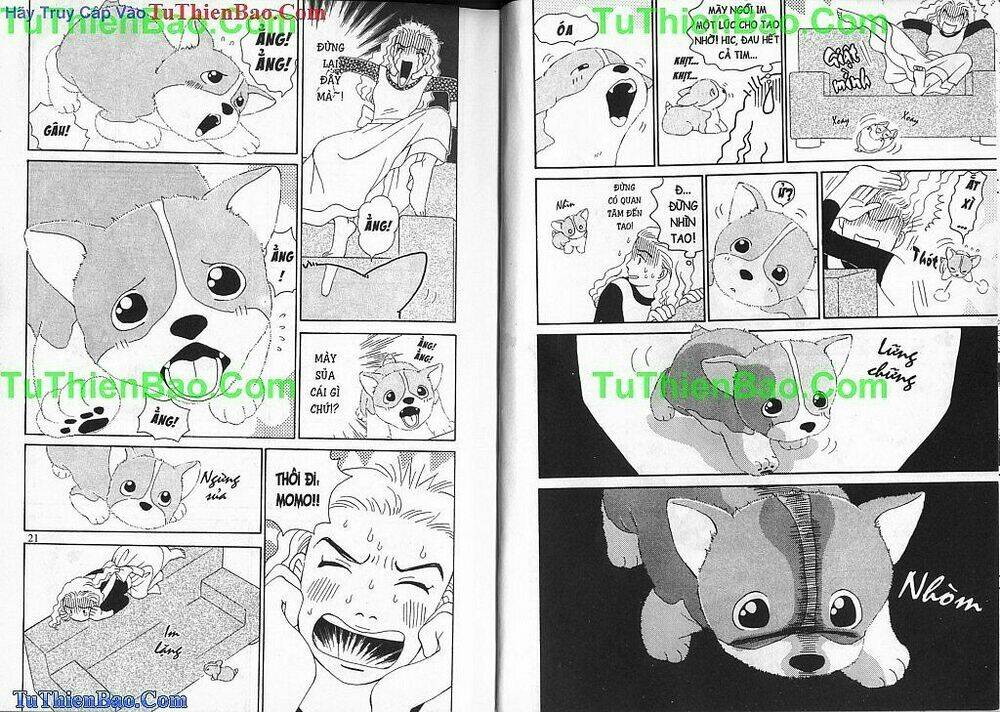 chó con mo mo chapter 1 11