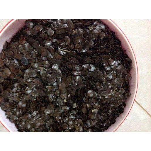 500 gram Hạt giống cây MUỒNG đen Hạt tuyển chọn, tỷ lệ nảy mầm cao). )