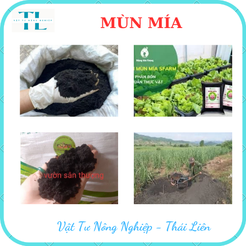 Phân hữu cơ mùn mía Sfarm ủ vi sinh, phân bón thuần thực vật 100% mía đường giúp cây trồng dễ ra hoa, đậu quả - Túi 2kg