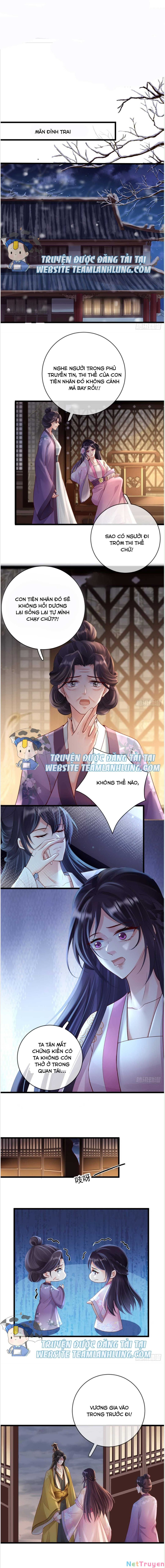 sự trả thù của vương phi chapter 30 3