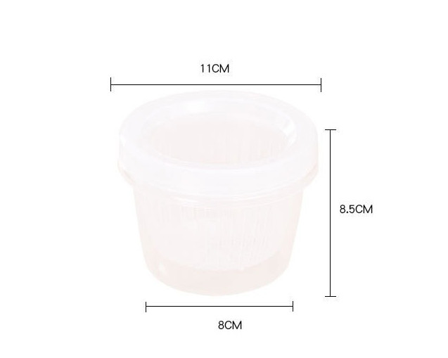 Hộp nhựa trong suốt bảo quản rau củ