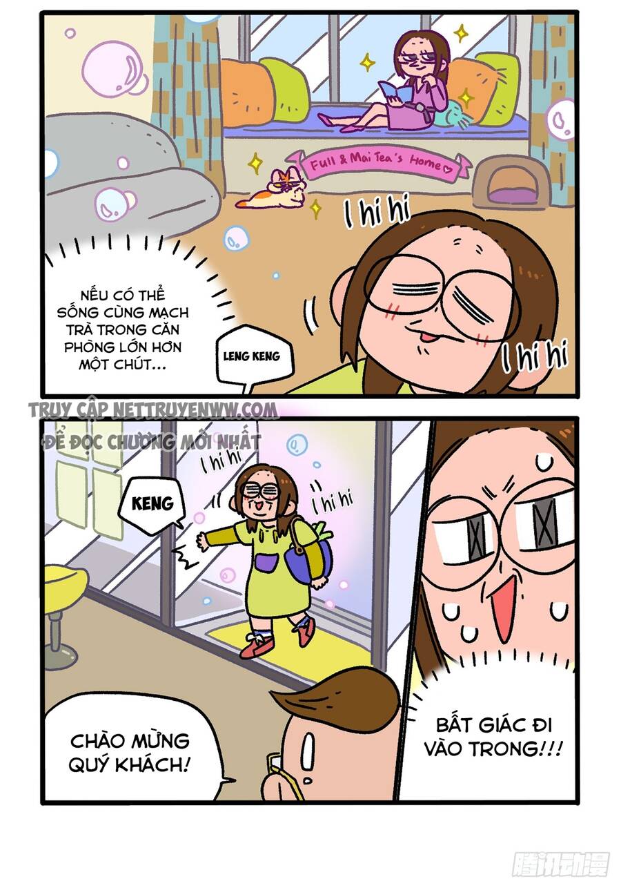 a mãn và mạch trà chapter 145 2