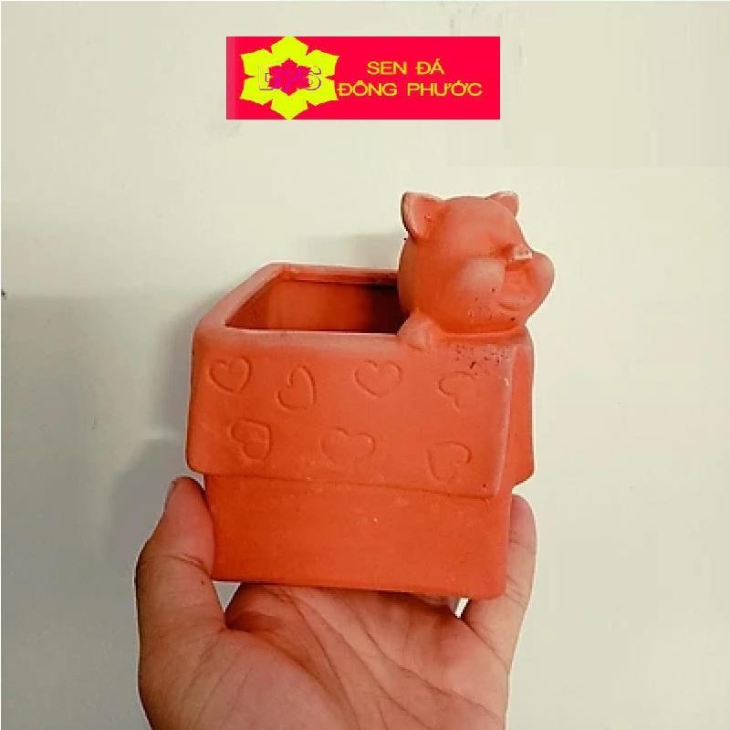 Chậu cây đất nung hình vuông Heo con ngủ - chậu trồng tiểu cảnh sen đá, xương rồng, cây phong thuỷ văn phòng đẹp