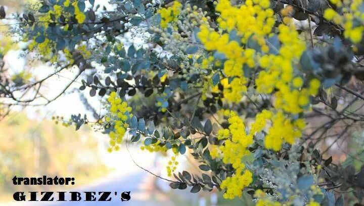 usotsuki lily chapter 39 2