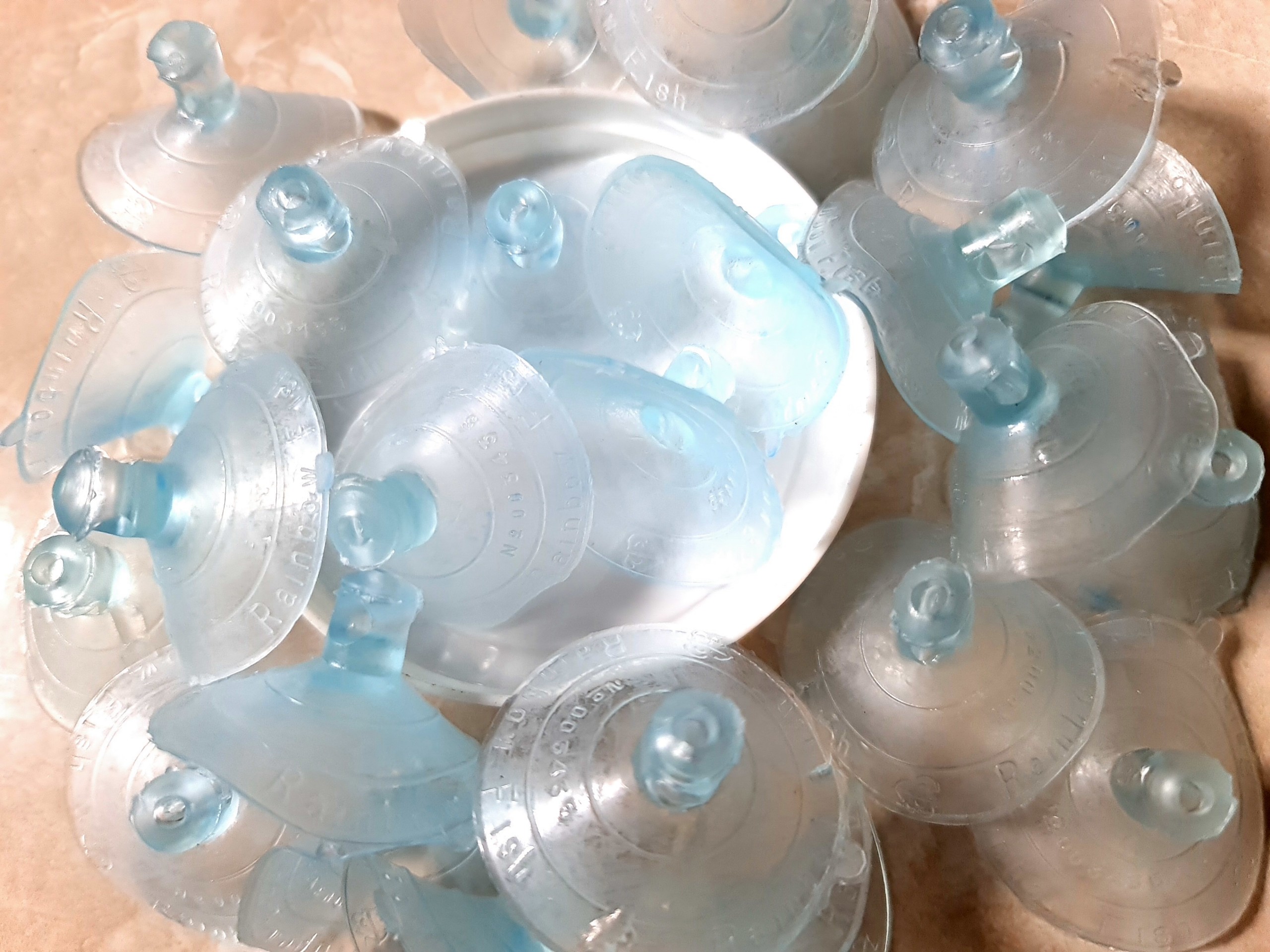 Hít Kính Giữ Ống DÂY OXY 6mm Cho Hồ Cá Cảnh