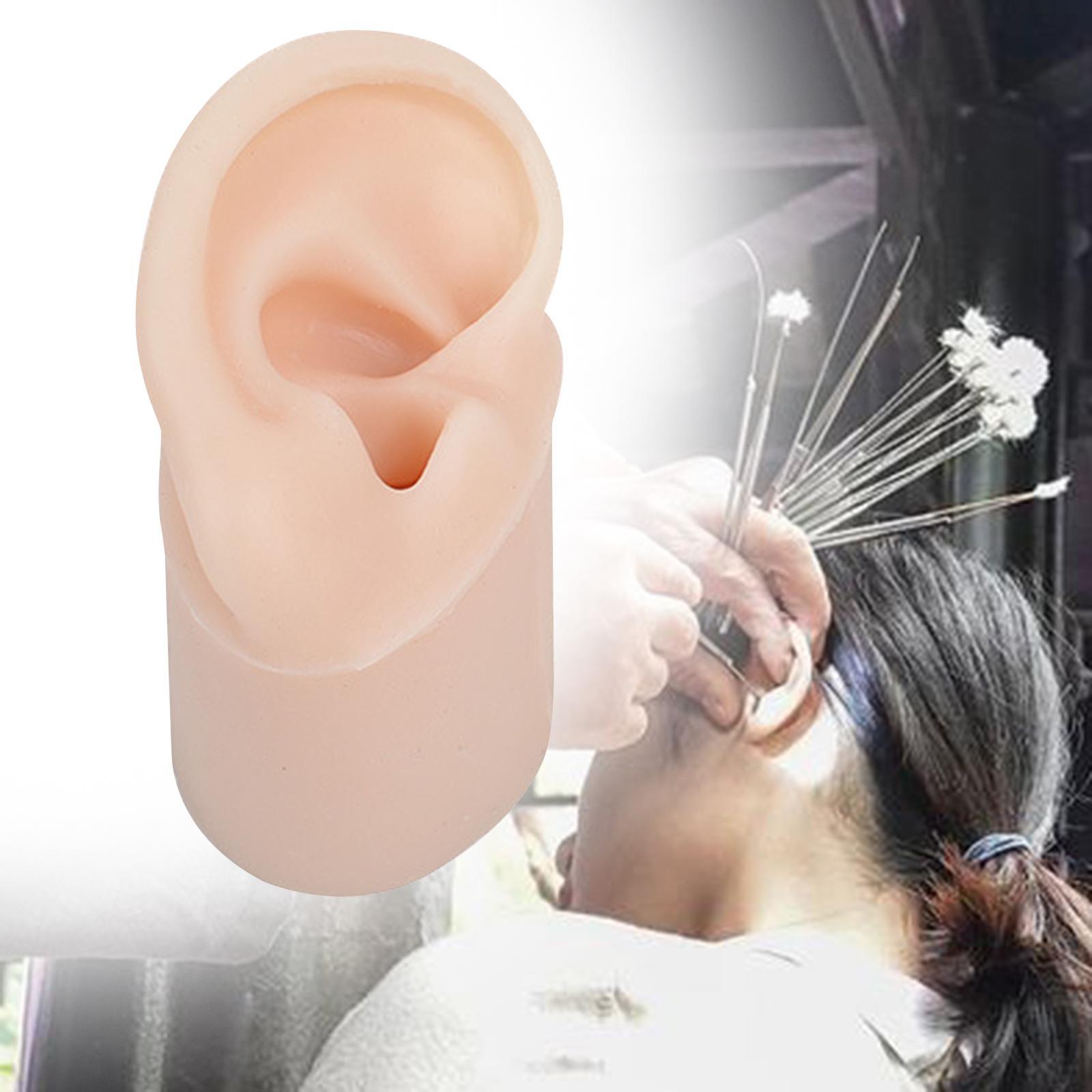 Simulated Soft Silicone Ear Model with Base Headset Display Props Left