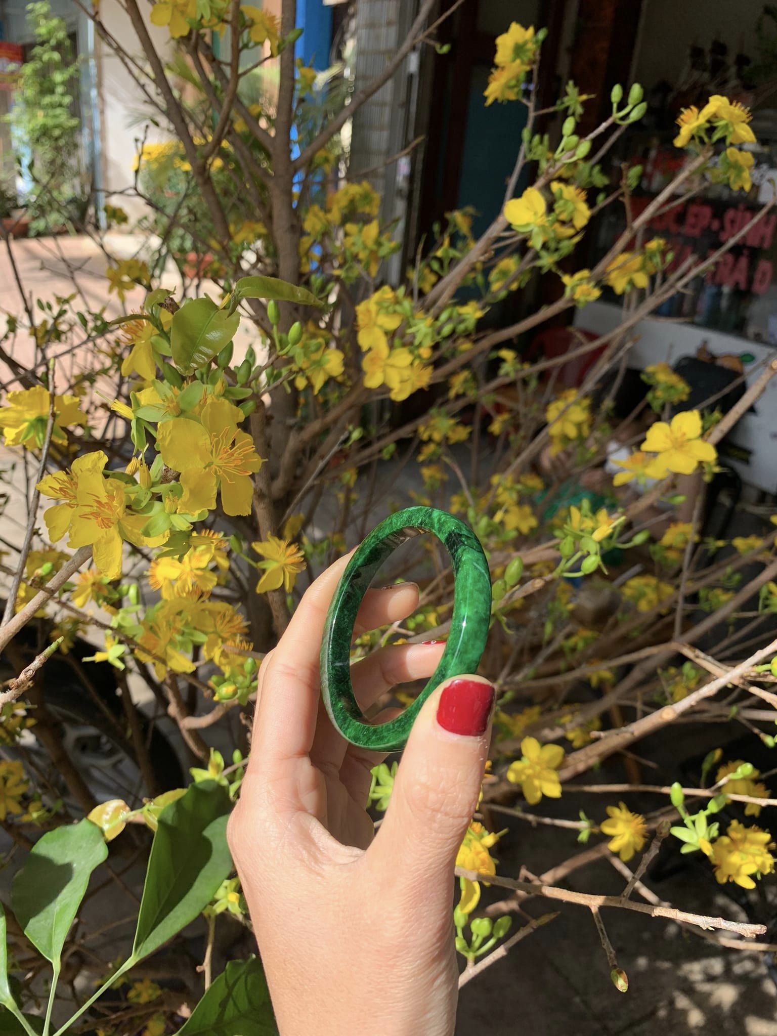 Vòng bản ngọc cầm thạch Jadeite