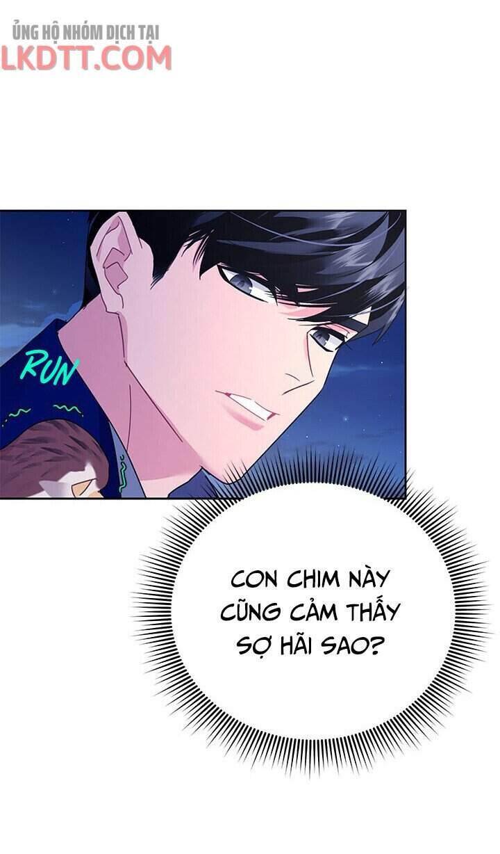công chúa của loài chim chapter 36 46
