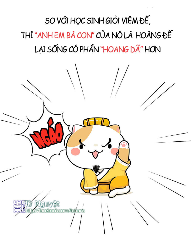 nếu lịch sử là một bầy mèo chapter 1 23