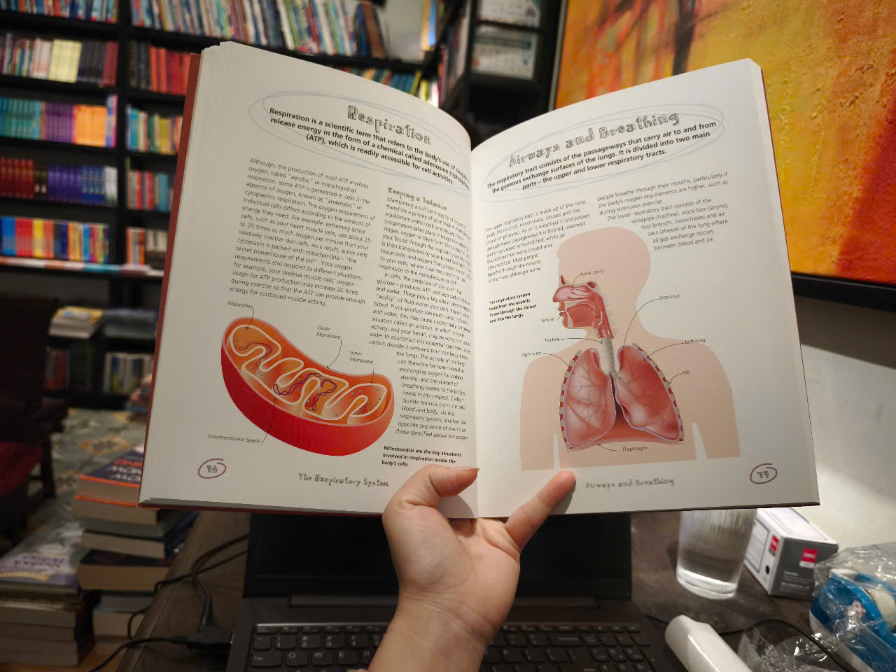 Sách - The Secret Life of the Human Body: Uncover the Hidden Workings of Your Body by John Clancy