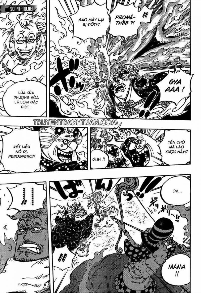 đảo hải tặc - one piece chapter 995 3