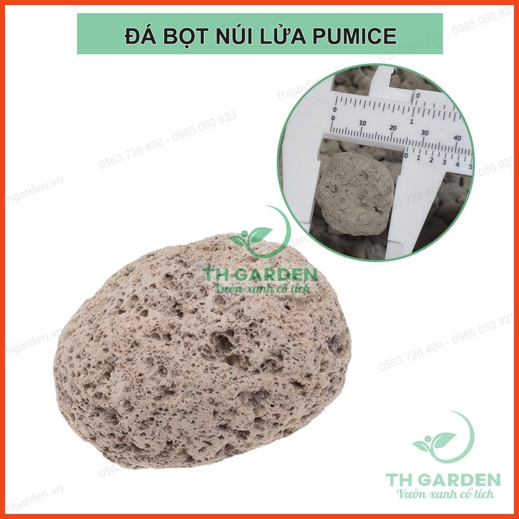 0.5kg Đá Bọt Trồng Lan Pumice TH Garden - Nhẹ Thoáng, Giữ Ẩm Tốt - Giá Thể Trồng Lan, Sen Đá, Cây Cảnh ...