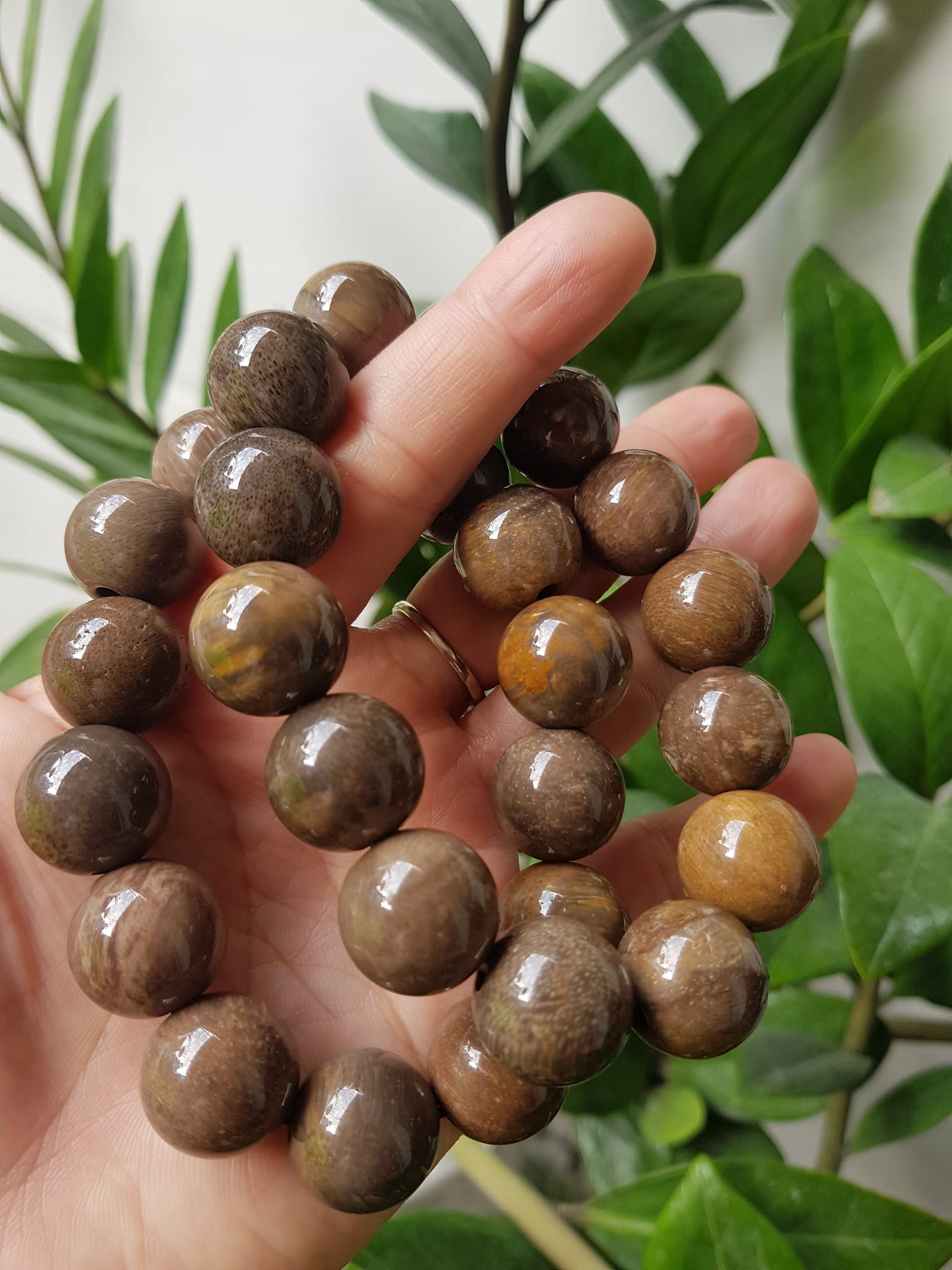 Vòng Gỗ Hóa Thạch Nam 16mm Màu Sáng Bóng Tự nhiên Gỗ Hóa Thạch Đẹp Nam đeo size vòng 16mm sang tay ạ