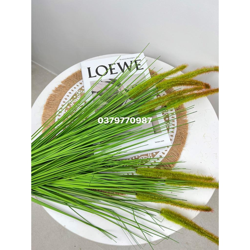 Bông lau decor cao cấp