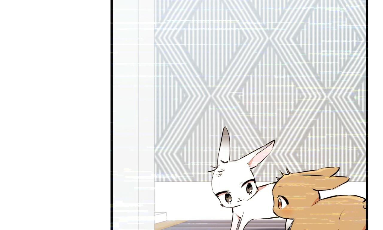 đàn thỏ của habibi chapter 34 91