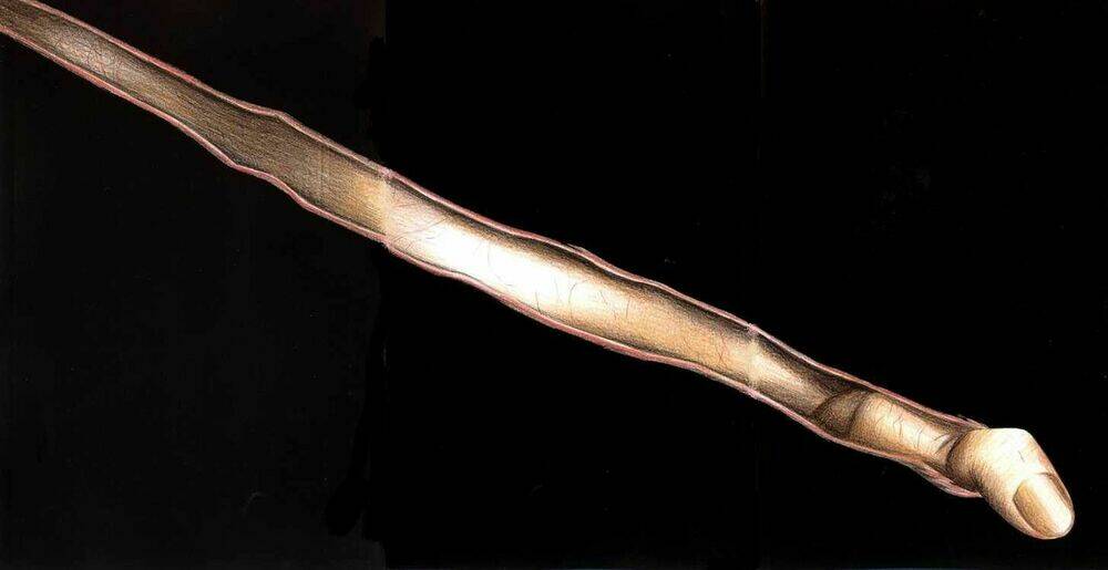 fuan no tane chapter 1 2