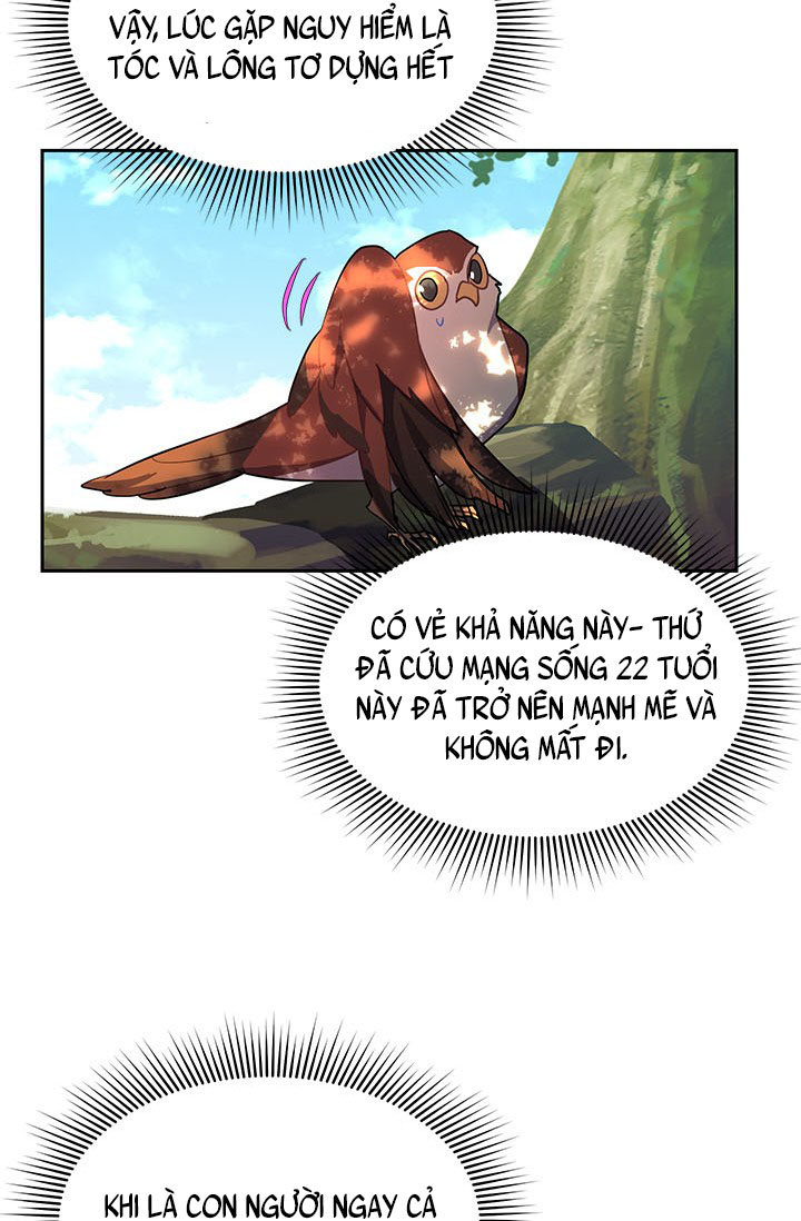 công chúa của loài chim chapter 7 36
