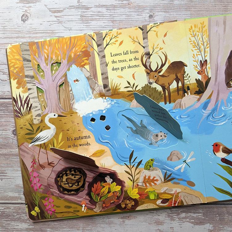 Nature Die-cut Book - Let's Explore! The Woods